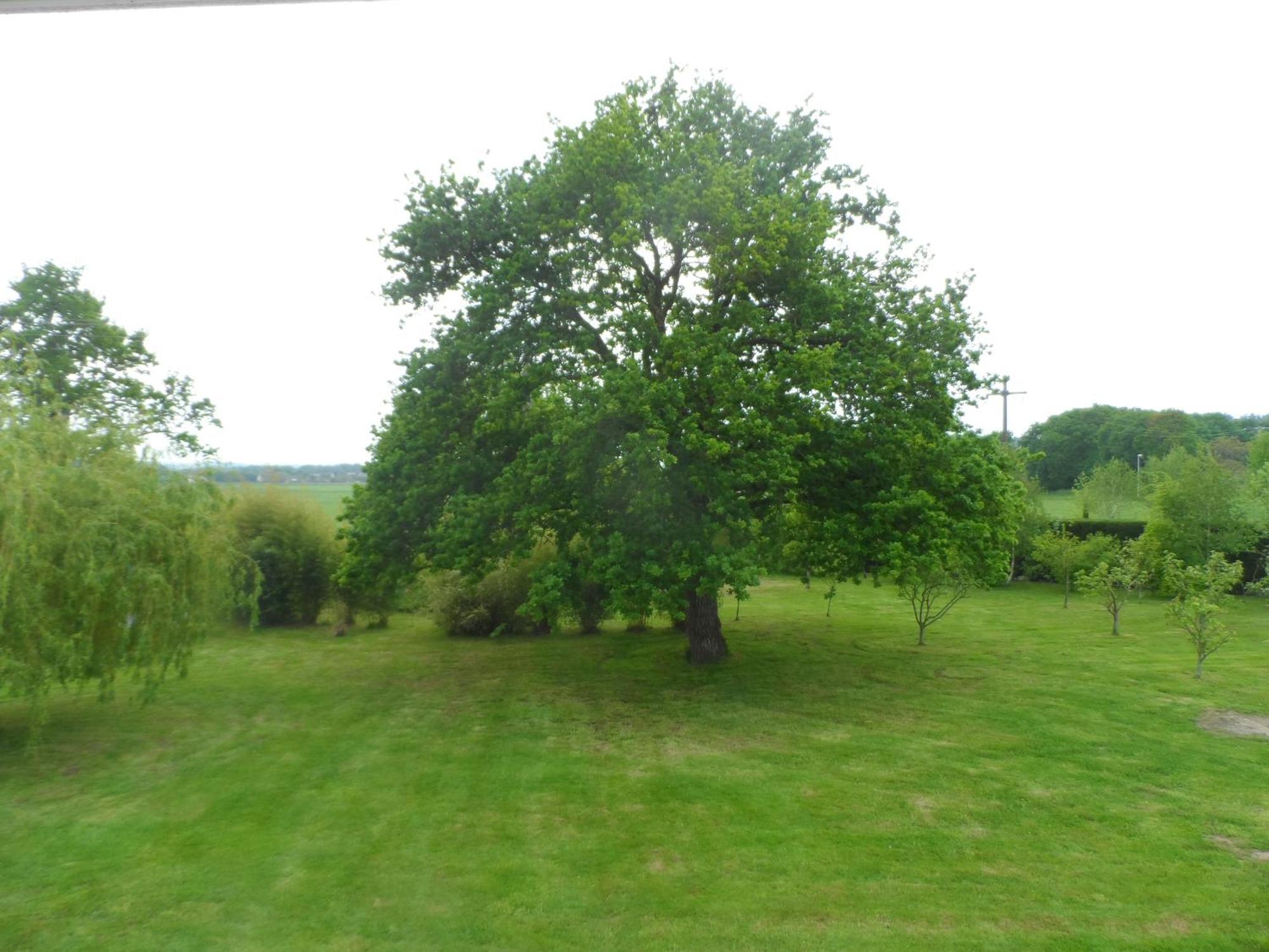 Bed and Breakfast Cafecouet'Breizh Guipry-Messac Номер фото